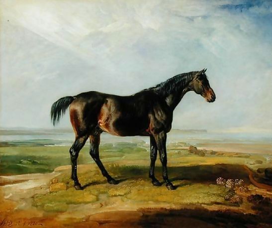 James Ward _ Dr. Syntax, a bay racehorse, standing in a coastal landscape, an estuary beyond.jpg James Ward _ Dr. Syntax, a bay racehorse, standing in a coastal landscape, an estuary beyond.jpg