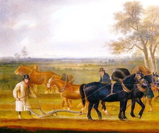 Thomas Weaver _ Cruckton ploughing match with four teams of horses, 1813.jpg Thomas Weaver _ Cruckton ploughing match with four teams of horses, 1813.jpg