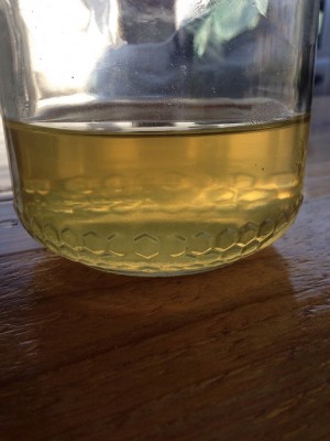 IMG_5334.JPG (108.2 KiB) Osservato 657 volte IMG_5334.JPG