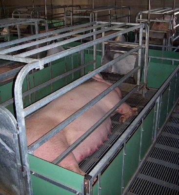 parto1.jpg (136.95 KiB) Osservato 663 volte parto1.jpg