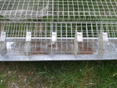 20140316_152405.jpg (239.47 KiB) Osservato 1244 volte 20140316_152405.jpg