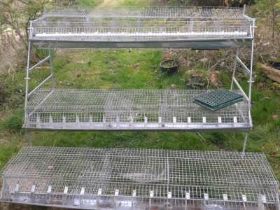 20140316_152355.jpg (240.32 KiB) Osservato 1244 volte 20140316_152355.jpg