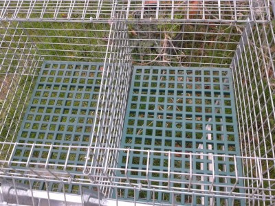 20140316_152417.jpg (258.31 KiB) Osservato 1244 volte 20140316_152417.jpg