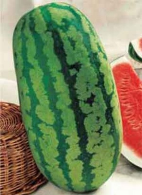 klondike.jpg (53.74 KiB) Osservato 460 volte klondike.jpg