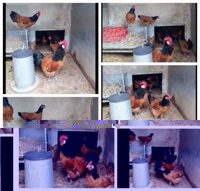 capture1-16-2017_30950_PM.jpeg (105.93 KiB) Osservato 725 volte capture1-16-2017_30950_PM.jpeg