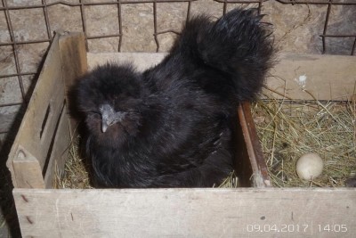 image.jpg (108.54 KiB) Osservato 1063 volte image.jpg