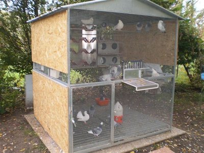 PA240031.jpg (82.32 KiB) Osservato 938 volte PA240031.jpg