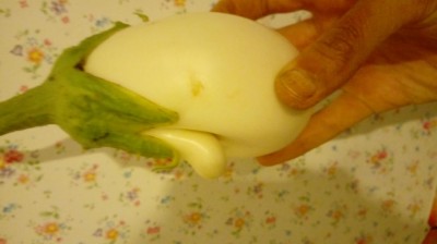 20170808_104312.jpg (37.3 KiB) Osservato 949 volte 20170808_104312.jpg