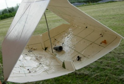 trap monitoraggio carpocapsa 2.JPG (75.24 KiB) Osservato 1817 volte trap monitoraggio carpocapsa 2.JPG