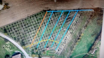 photo5845803377710183863.jpg (91.31 KiB) Osservato 548 volte photo5845803377710183863.jpg