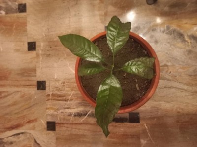 20230303_190443.jpg (70.99 KiB) Osservato 501 volte 20230303_190443.jpg