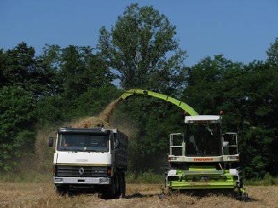 trinciatura silo secco.JPG (88.62 KiB) Osservato 3252 volte trinciatura silo secco.JPG