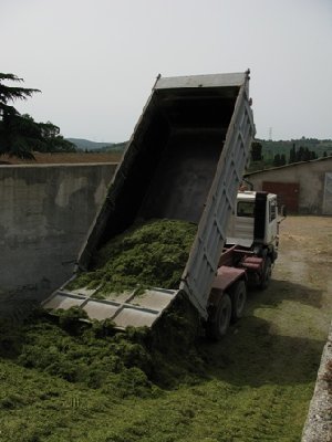 scarico silo verde.JPG (69.73 KiB) Osservato 3251 volte scarico silo verde.JPG