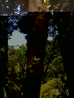 IMG_20160720_110216.jpg (201.77 KiB) Osservato 1130 volte IMG_20160720_110216.jpg