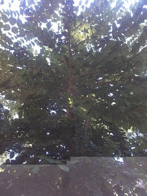 IMG_20160720_110405.jpg (161.72 KiB) Osservato 1137 volte IMG_20160720_110405.jpg