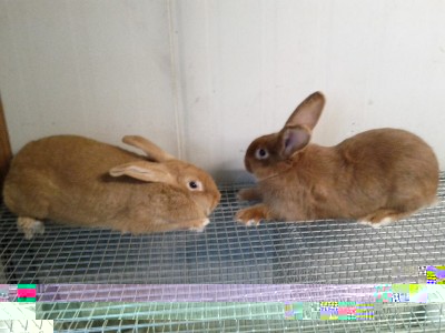 differenza (800x600).jpg (217.7 KiB) Osservato 1344 volte differenza (800x600).jpg