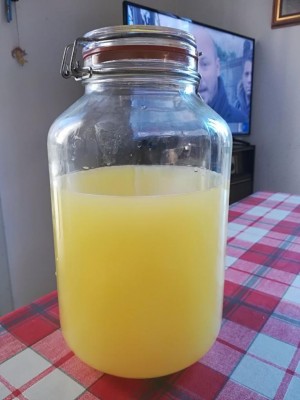 IMG_20171228_141008.jpg (63.65 KiB) Osservato 1859 volte IMG_20171228_141008.jpg