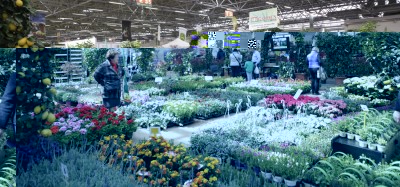 vivalaterra_2015_panoramica_fiori.jpg