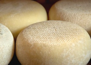 storia-formaggio-300x213.jpg