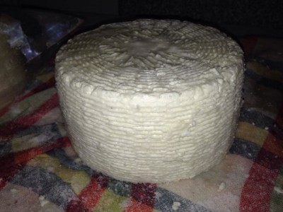 forma gorgonzola.jpg