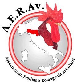 Logo-Aerav2.jpg