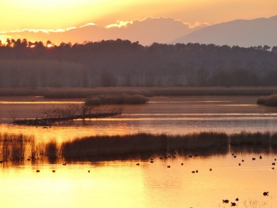 Tramonto Le Morette 2 (foto Massimo Taddei).JPG