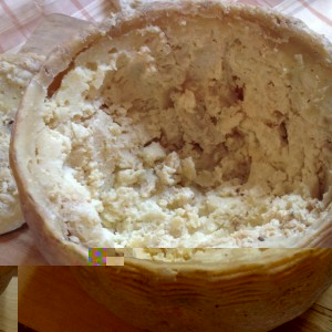 Pecorino-marcetto-300x300.jpg