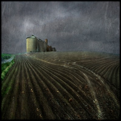 2low_Weather dog- Christian Devers_1st Prize cat. Paesaggio Agricolo e Naturalistico 2013.jpg