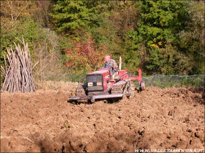 orto-2015-preparazione-terra.JPG