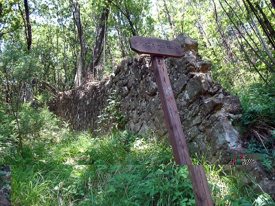 Barco Reale mediceo (foto Elena Collina).JPG