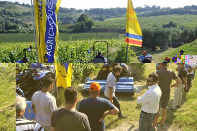 Romagna in Campo a Cesena.jpg