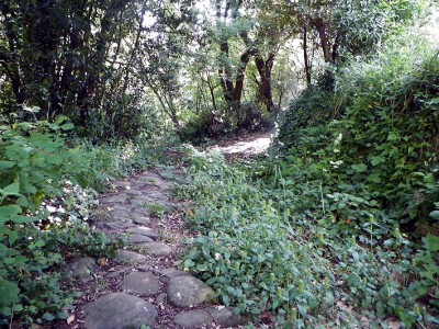 Sentiero per Montecatini Alto (foto Donatella Zaccagna).jpg