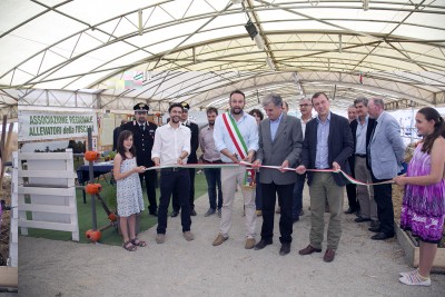 fiera agricola 2015.jpg