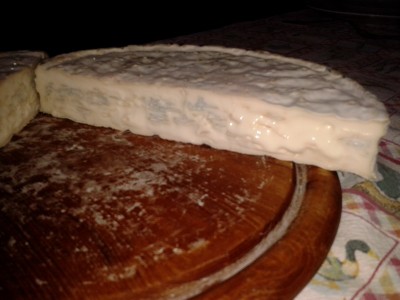 gorgonzola.jpg