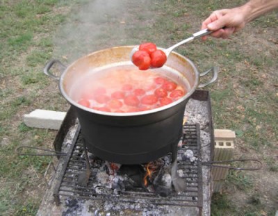 bollitura pomodori.jpg