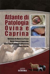 patologia-ovina.jpg