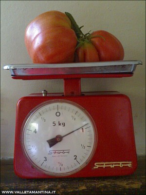 09072015pomodoro2.jpg