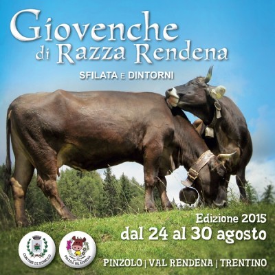 sfilata-giovenche2015a.jpg