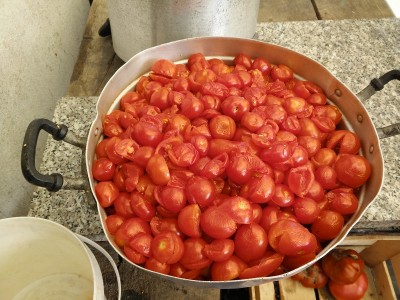 preparazione salsa 1.jpg