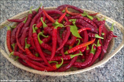 01082015peppers.jpg