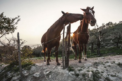 Appennino - Ph. Carlos Solito©.jpg