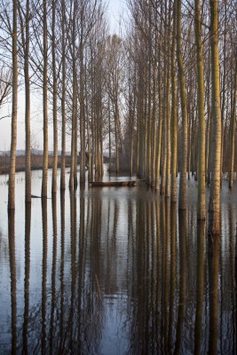 La voce del silenzio (foto Riccardo Niccolai).JPG