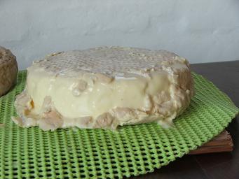 taleggio2.JPG