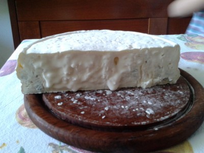 secondo gorgonzola.jpg