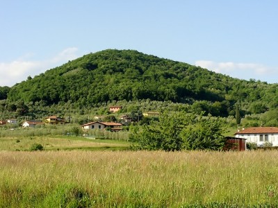 Poggio alla Guardia (foto Andrea Innocenti).JPG