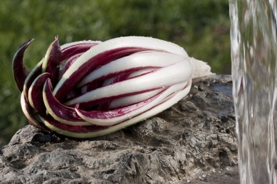 Radicchio Rosso di Treviso Tardivo.jpg