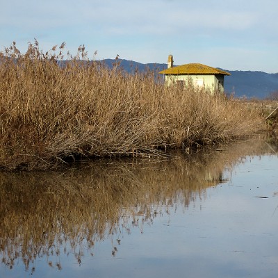 Riserva Naturale Le Morette.jpg