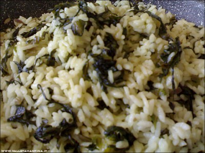 24102015risotto-radicchio.jpg