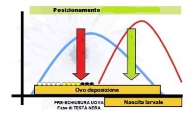 -posizionamento.jpg