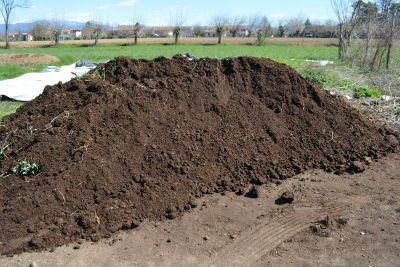 Vermicompost grezzo aprile 2015 FAGR.jpg